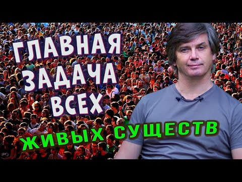 Видео: Жизненная устойчивость | Главная задача всех живых существ