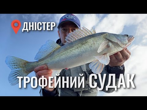 Видео: Рибалка на судака на Дністрі. Перша риболовля xesta black star 83