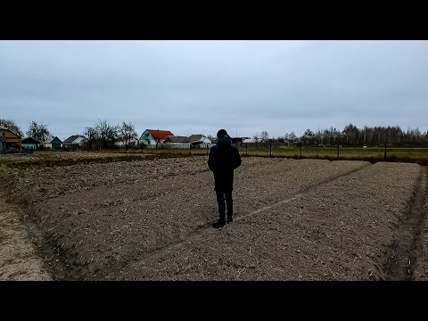 Видео: Сади ЦІ Культури поки ІНШІ ДУМАЮТЬ-Заробіток на Вирощуванні 2024