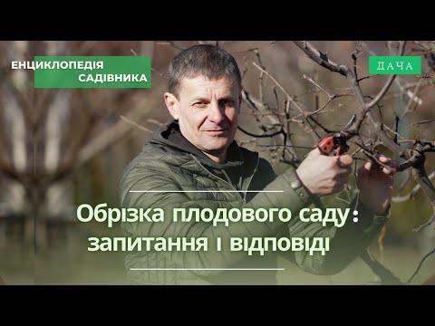 Видео: Обрізка Плодового Саду. Відповіді На Питання. Частина 3. Як Вибрати Саджанець?