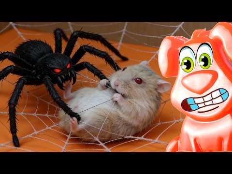 Видео: Злой паук словил хомячка в свою паутину. Желейный пёс Стасик спасает хомяка.