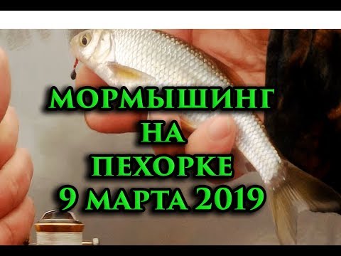 Видео: Мормышинг на Пехорке 9 марта 2019