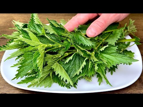 Видео: Сахар в крови сразу падает! Это растение - настоящее сокровище!