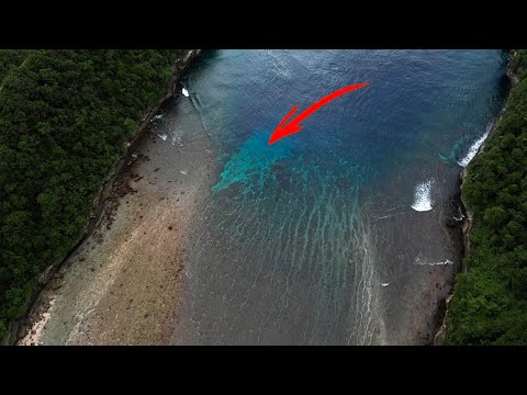 Видео: Вся рыба в этом канале┃Рыбалка на рифе со спиннингом