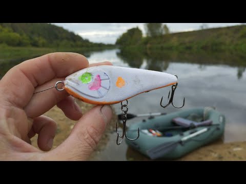 Видео: ЭТОТ МАЛЫШ ОЧЕНЬ ПЕРСПЕКТИВЕН!!!
