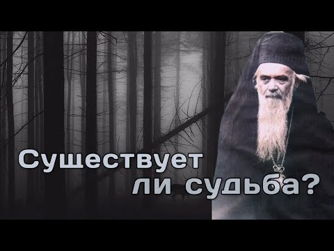 Видео: Существует ли судьба? Николай Сербский