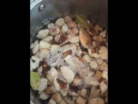 Видео:  Маринованные Белые грибы