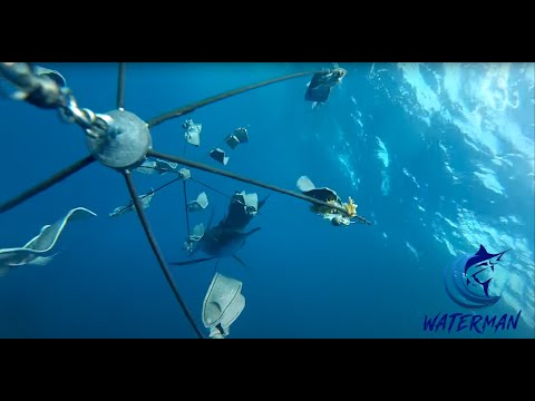 Видео: Рыбалка с драгой: как использовать драгу, чтобы поймать больше марлина | Waterman S01E11 | Видени...