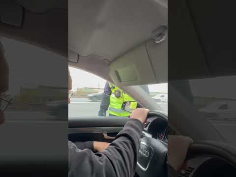 Видео: 11 ноября 2025 г.