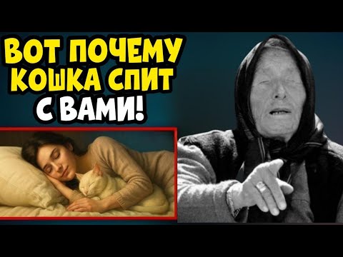 Видео: КОШКА ЛОЖИТСЯ РЯДОМ? СЕКРЕТ ВАНГИ, О КОТОРОМ ОНА ГОВОРИЛА