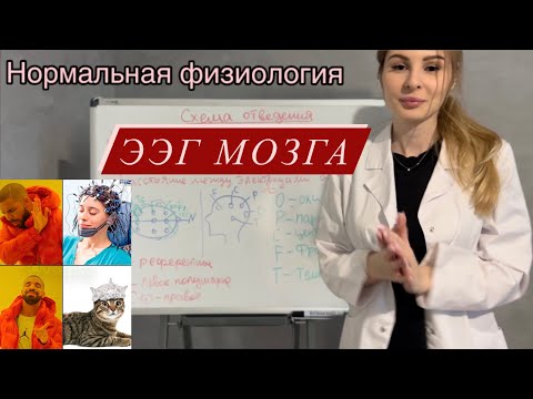 Видео: Полный разбор ЭЭГ🧠|Физиология|Электроэнцефалография