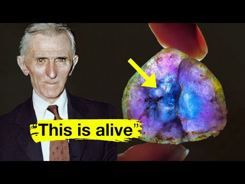 Видео: «Как только вы его нагреете, ваш мозг начнет меняться» (серьёзно)