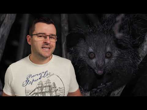 Видео: Те печелят титлата МИС Свят!