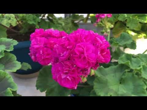 Видео: Июльский обзор 2025.