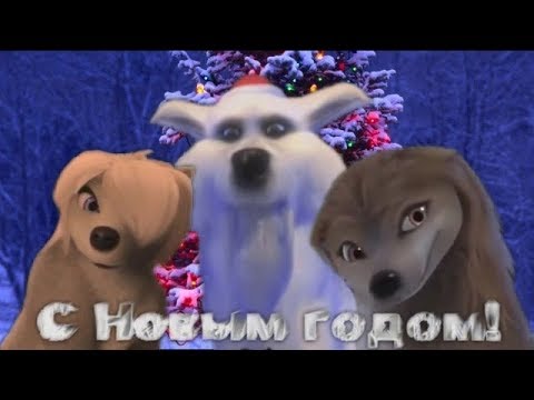 Видео: С Новым 2019 годом.