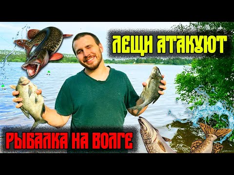 Видео: Рыбалка с ночёвкой на ВОЛГЕ || Открыли сезон БЕШЕНЫМ клёвом!!!