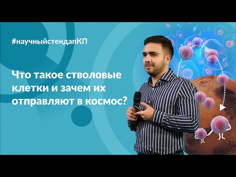 Видео: Что  такое  стволовые  клетки  и  зачем  их  отправляют  в  космос?