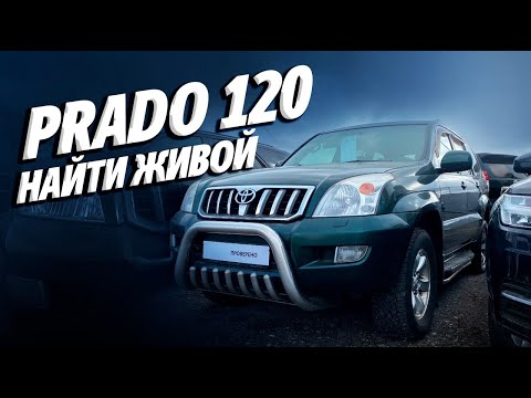 Видео: ПОДБОР PRADO 120. Найти среди битых, ржавых, с гнилым VIN