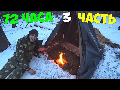 Видео: Выживание 72 часа [3 часть] Cтрою баню Шашлык из перепелов