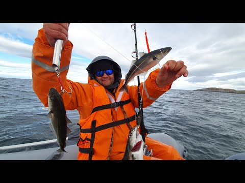 Видео: Морская рыбалка на ПВХ лодке Ротан. Баренцево море. Ура-Губа. Май и сентябрь 2021.
