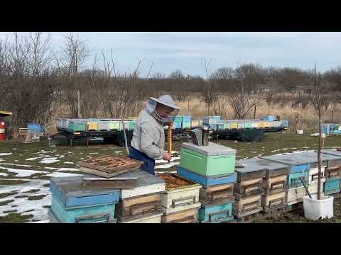 Видео: Стартовать или нет? Первые облеты, потепление.