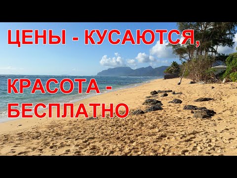 Видео: США. Цены на Гавайях кусаются. Красота - бесплатно. Продолжаем путешествие по Гавайям (O'ahu).