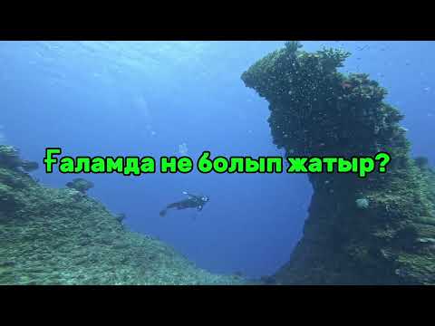 Видео: ҒАЛАМДА НЕ БОЛЫП ЖАТЫР?