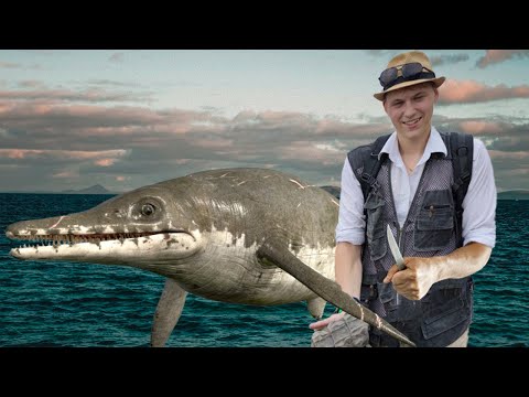 Видео: Экспедиция в Ульяновск!!! Шок!!! Нашли кости морского ящера!!!