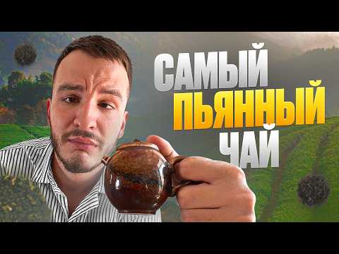 Видео: ТЕ ГУАНЬ ИНЬ ИЛИ ДА ХУН ПАО? ЧТО ЛУЧШЕ РАССЛАБЛЯЕТ?