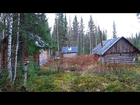Видео: Осеннее путешествие по северным рекам ч4. Один в глухой тайге. Лесная изба. Одиночный поход - сплав