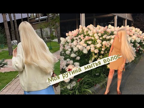 Видео: Как я мою голову: рутина мытья волос