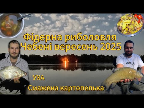 Видео: 🎣 Фідерна риболовля, Чебені 2025 (вересень)