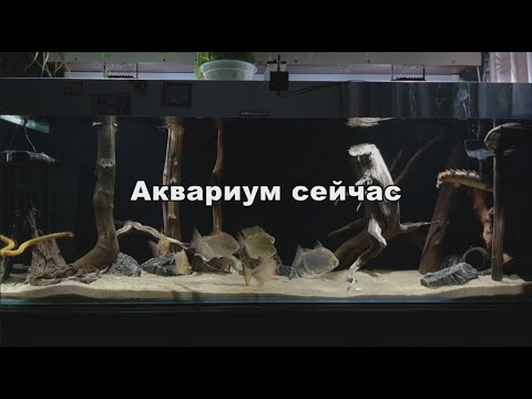 Видео: Восстанавливаем хронологию