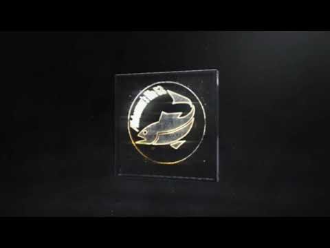 Видео: Хидея 9.8, люфт пластины УОЗ