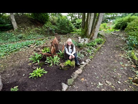 Видео: Посадка в пне