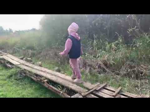 Видео: На родине моей прабабушки в старинном селе Княжпогосте. Деревня Вейпом.