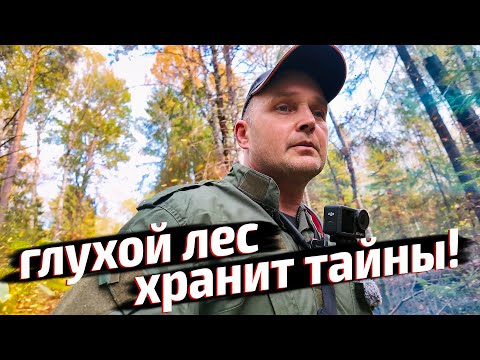 Видео: Нашёл старое поселение в чаще леса! Находки с металлоискателем