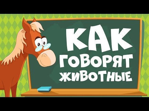 Видео: КАК ГОВОРЯТ ЖИВОТНЫЕ? Звуки животных для детей || Учим животных для самых маленьких