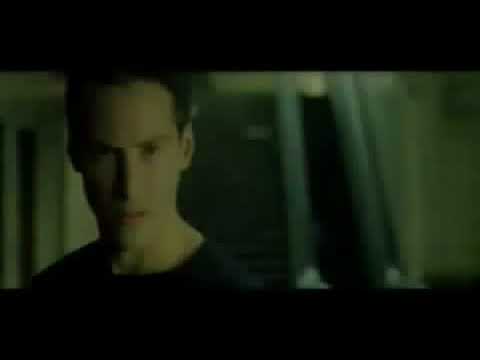 Видео: Квантовая физика и бессознательное. часть 3