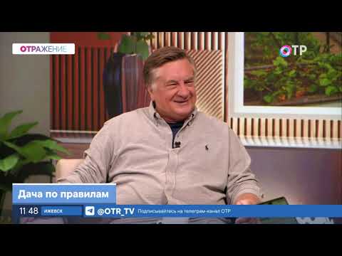 Видео: Дачные страшилки и реальная жизнь в СНТ