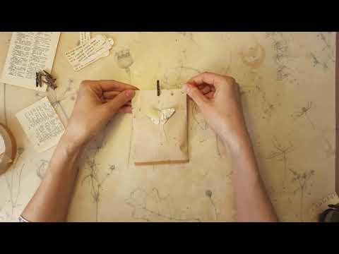 Видео: Весенние знаки внимания (запись эфира)