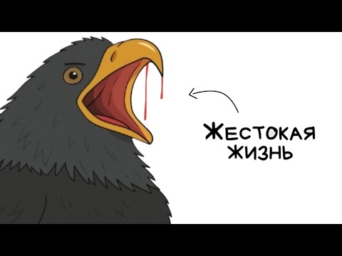 Видео: Вы - орел (И ЭТО ПОЛНЫЙ ОТСТОЙ)
