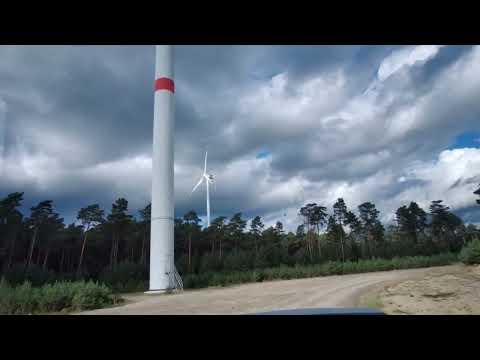 Видео: Ліс... Плити...