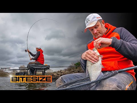 Видео: Лучшие советы Стива Рингера по ловле на скиммер-фидер | Guru Bitesize #050