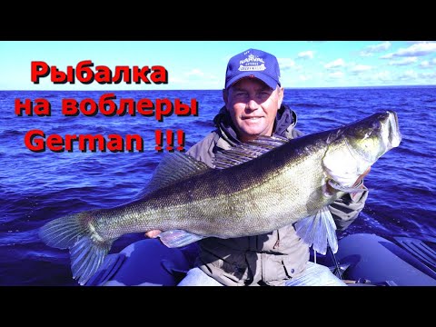 Видео: Рыбалка дорожкой на воблеры Герман .