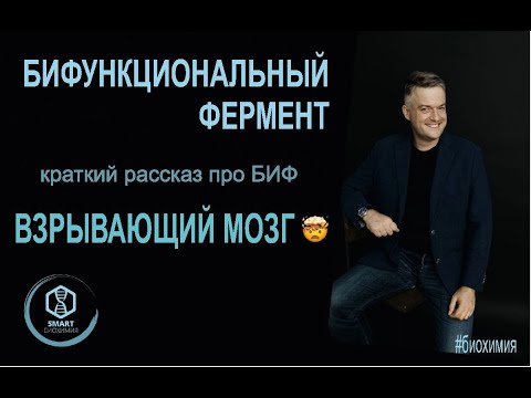 Видео: Биохимия: БИФ