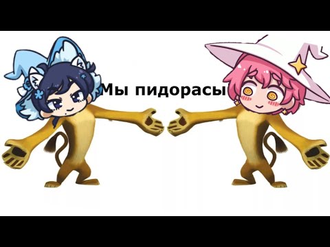 Видео: Звёздные цветы