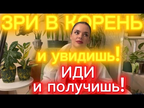 Видео: Зри в корень и Увидишь! Иди и получишь! 