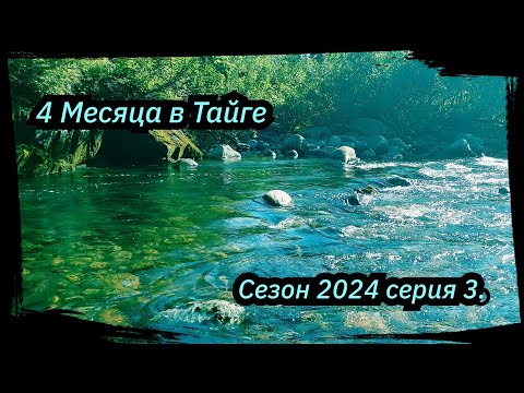 Видео: 4 Месяца в Тайге. 1-я ночевка, Работа, Старатели, Сезон 2024 серия 3.