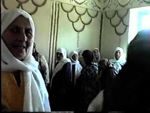 Видео: 23 февраля 2025 г.